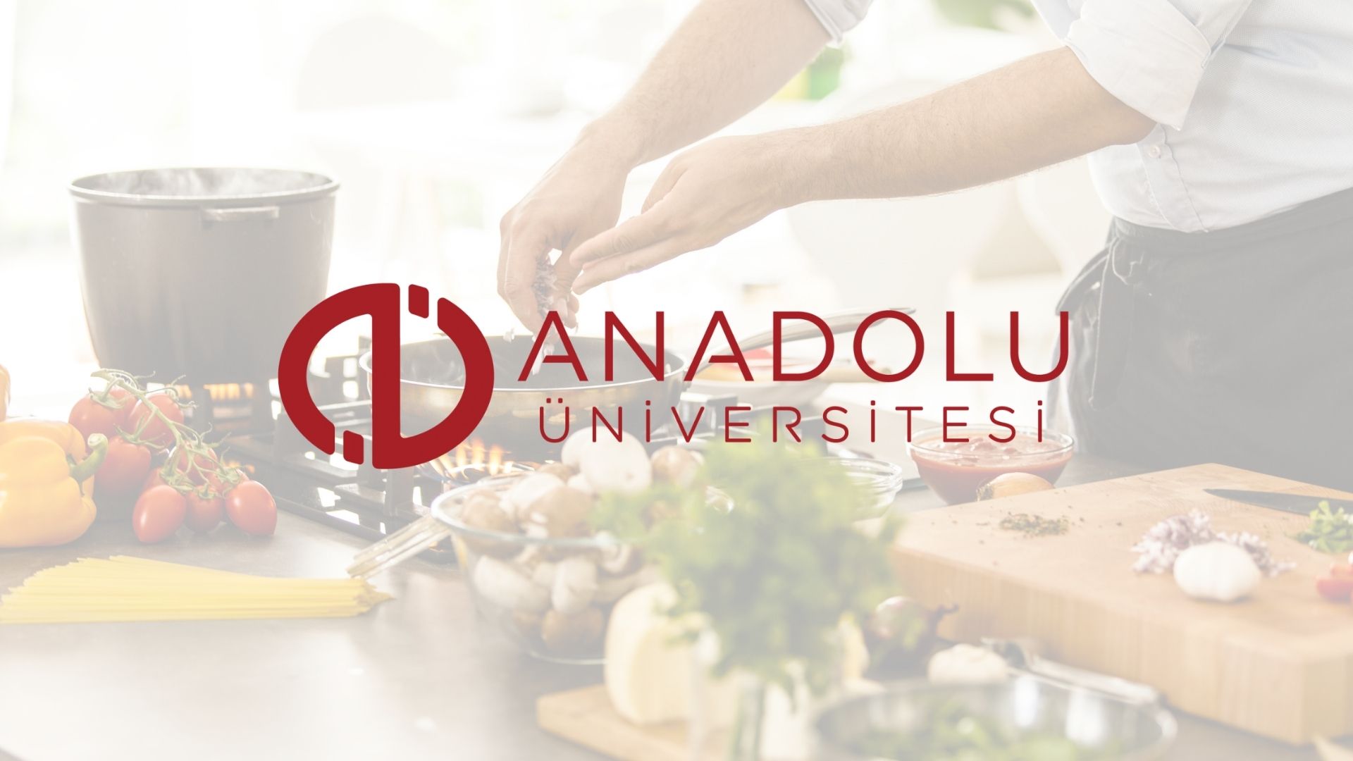 Anadolu Üniversitesi Eskişehir Açıköğretim Fakültesi Aşçılık Açıköğretim