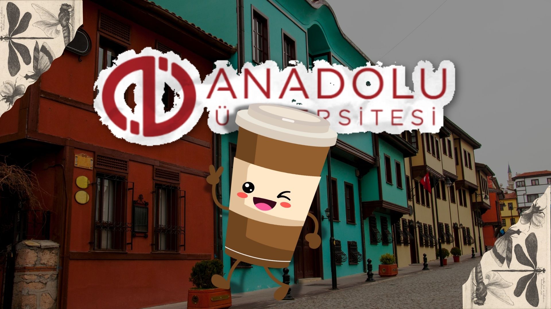 Anadolu Üniversitesi Çevresindeki En İyi Kafeler ve Çalışma Alanları